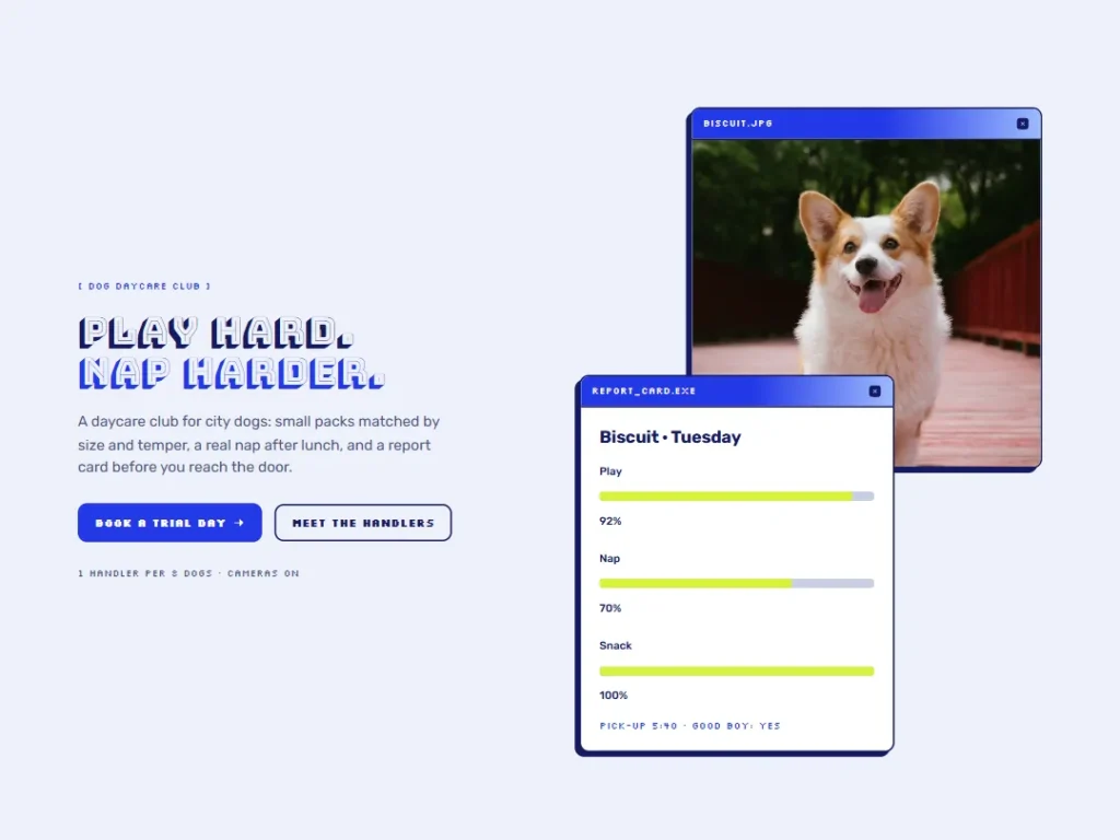 Zoomies — Report Card Daycare About — About template