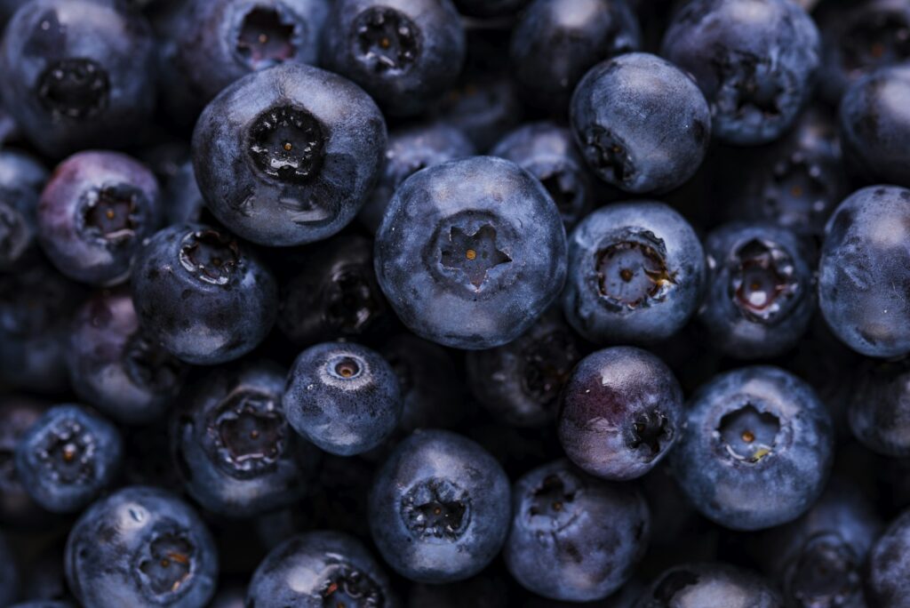 Blueberries in close-up