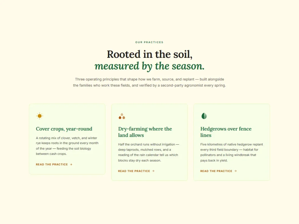 Practice — Forest Cream Regenerative Trio — Cards template