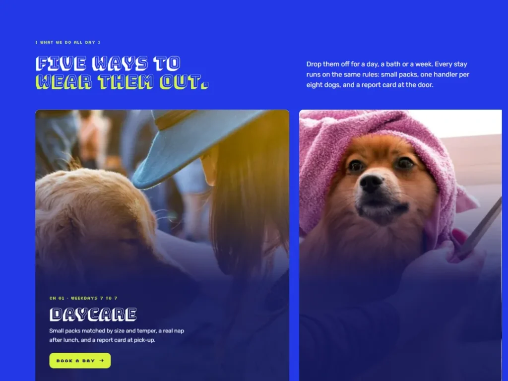 Zoomies — Service Reel Daycare Cards — Cards template