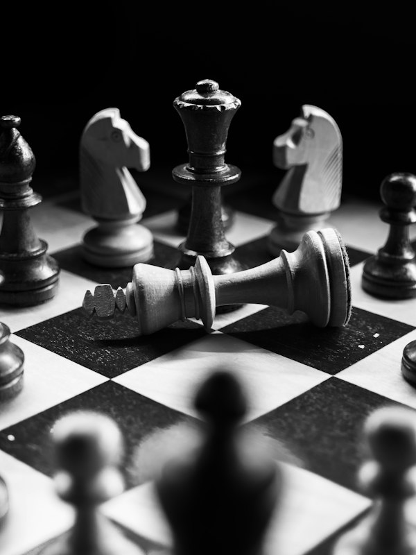 Chess pieces in monochrome