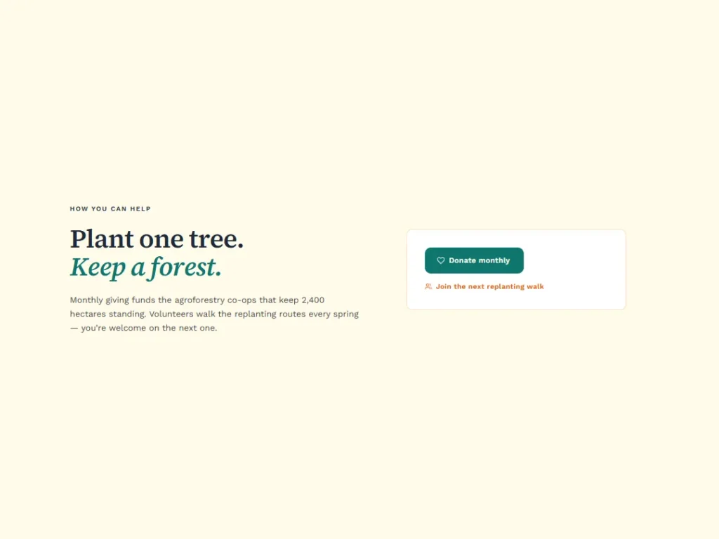 Pledge — Teal Ember Donate CTA — CTA template