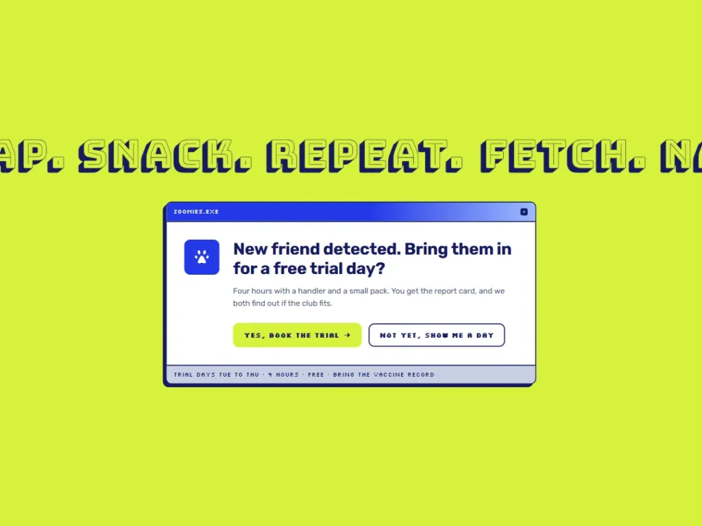 Zoomies — Trial Dialog Daycare CTA — CTA template