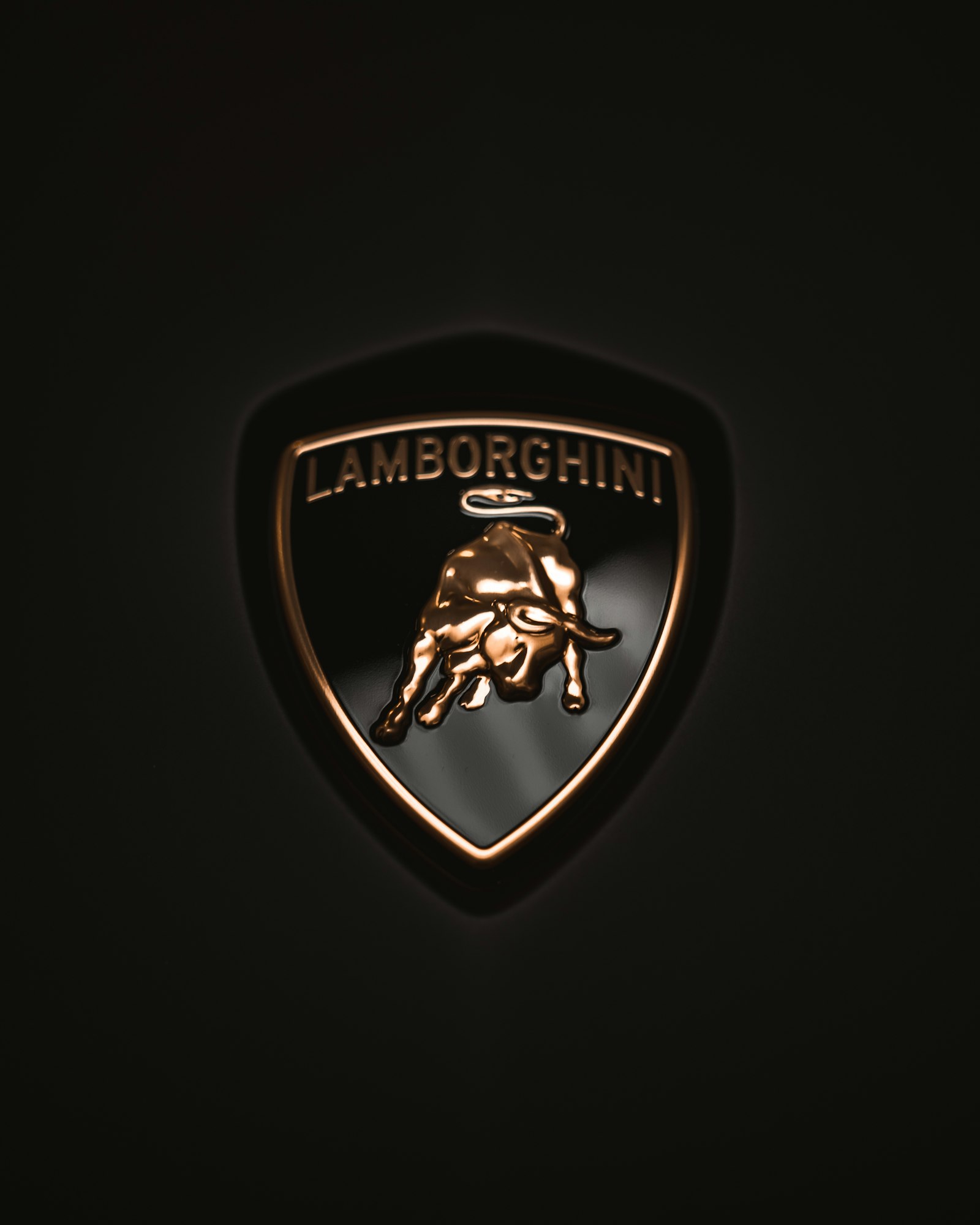 Gold bull emblem on a car badge