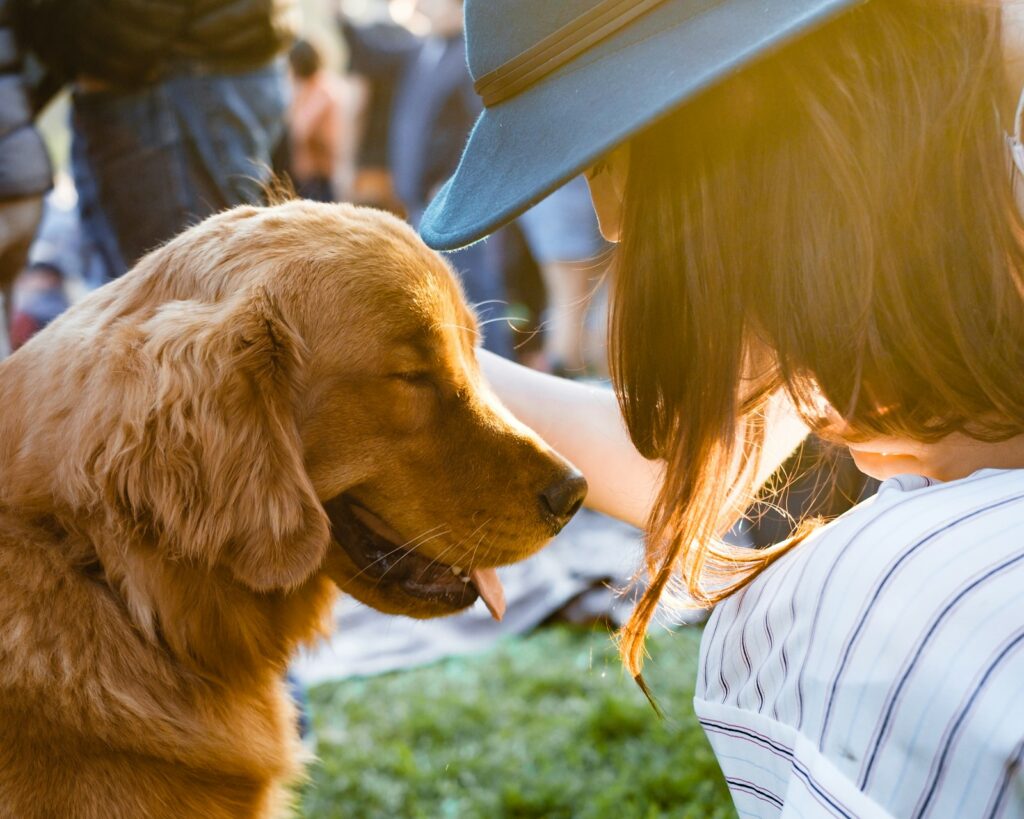 Woman in a teal hat petting a golden retriever in golden-hour backlight