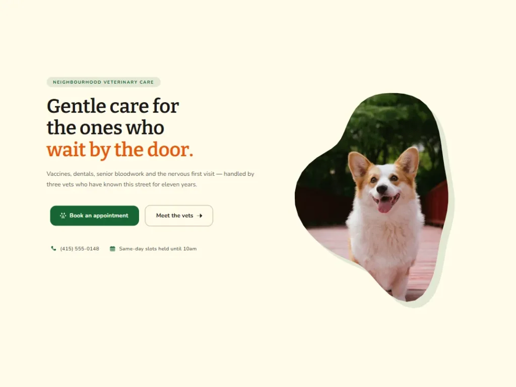 Wagtail Blob Fern — Veterinary Hero — Hero template