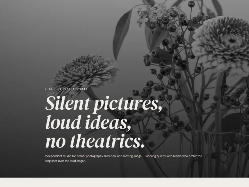 Landing — Silent Cinema — Landing template