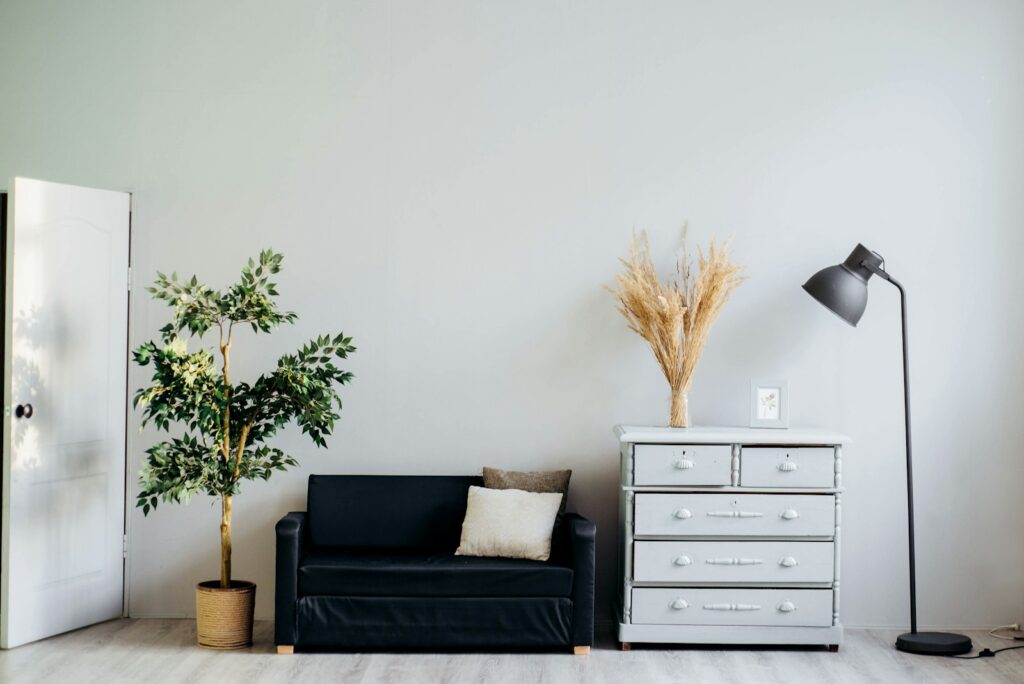 Minimal living room with plants
