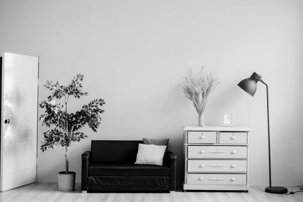 Minimal living room with plants