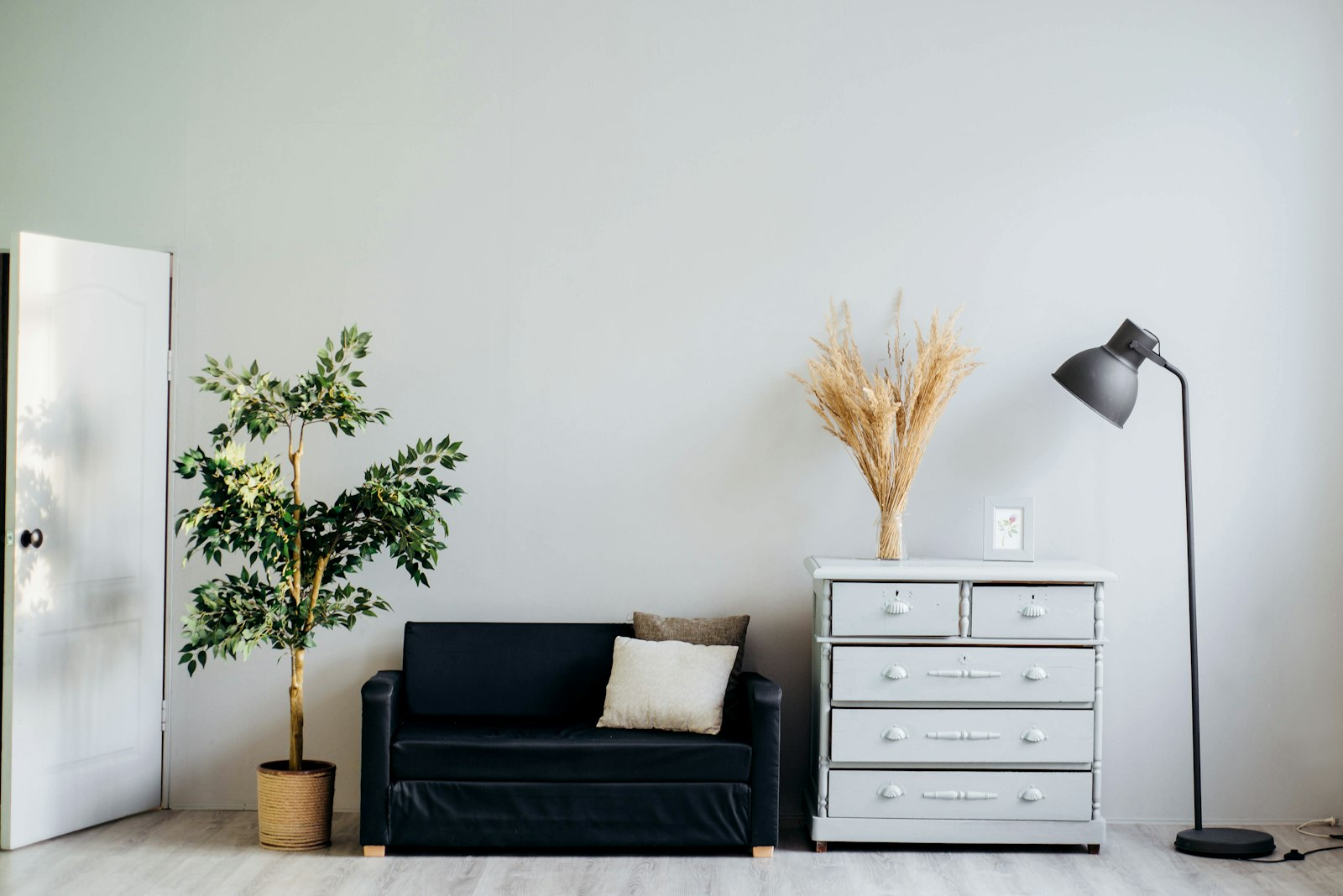 Minimal living room with plants