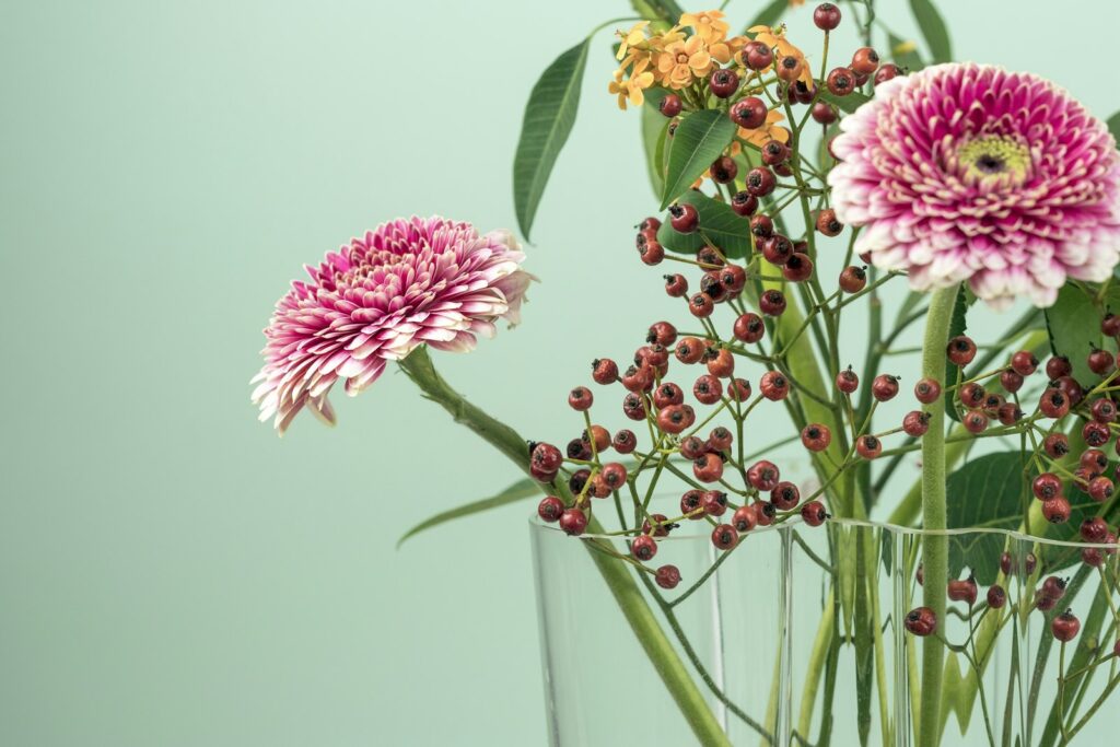 Pink blooms in a glass vase