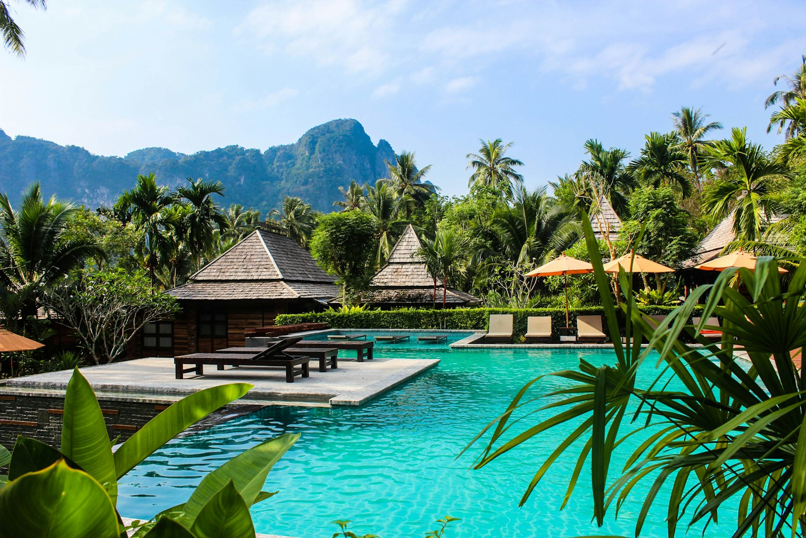 Tropical resort pool among palms