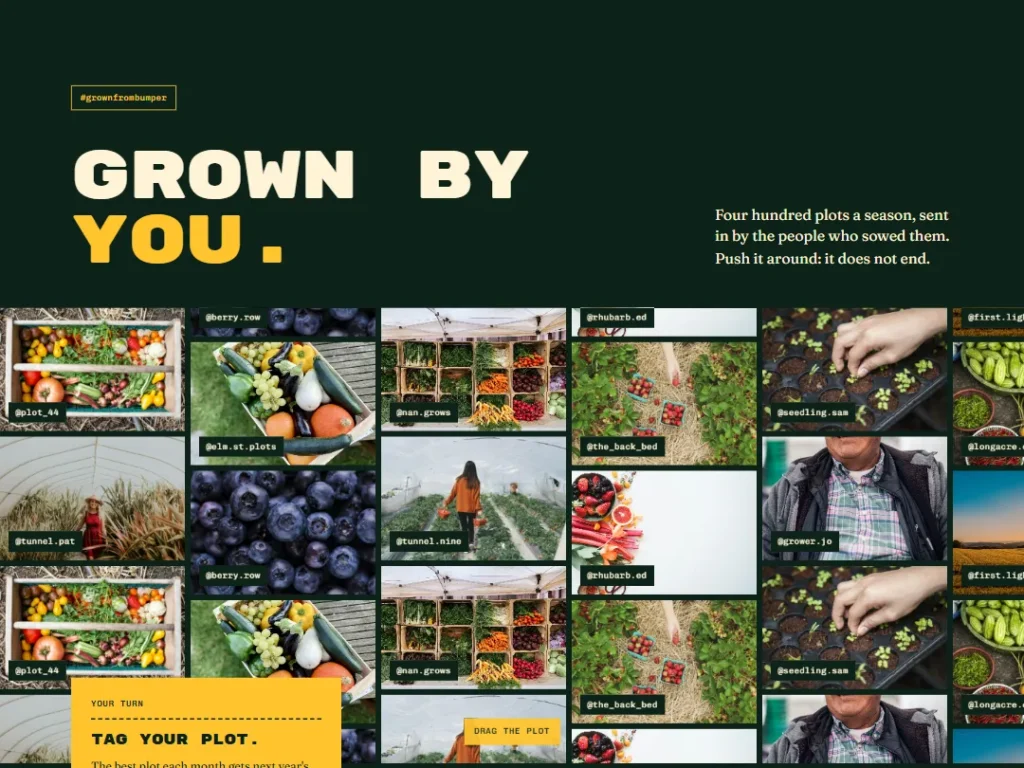 Bumper — Grown by You Social Feed — Social Feed template