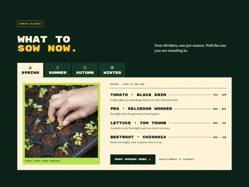 Bumper — Sow This Season Tabs — Tabs template