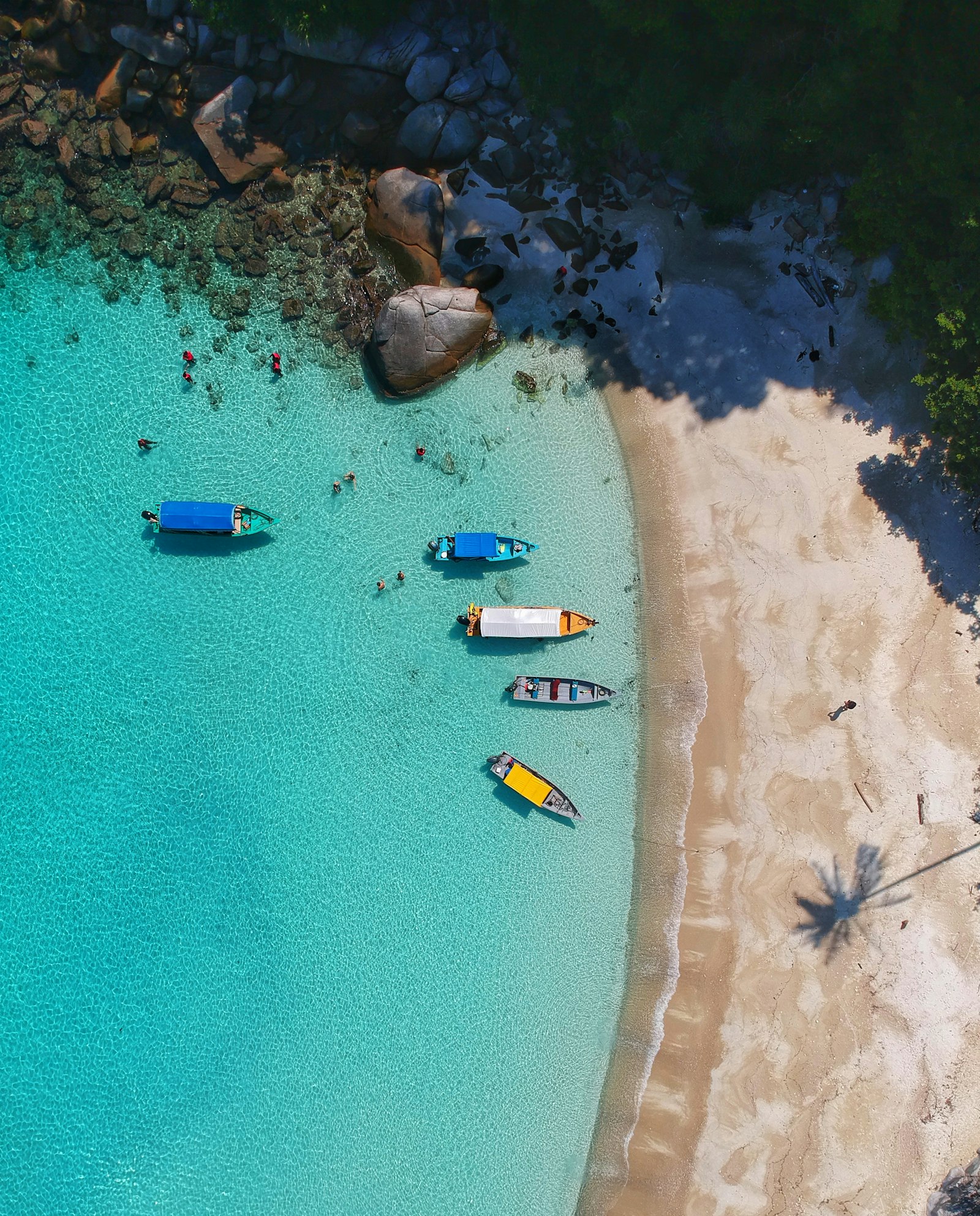 Boats in a tropical cove